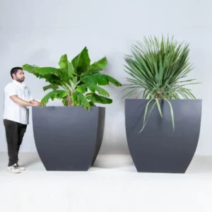 اصيص زرع فضي مجلفن